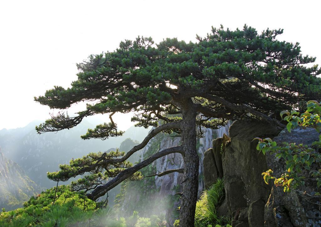 Huangshan Shilin Hotel Luaran gambar